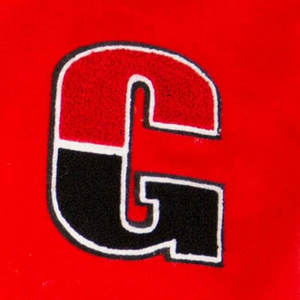 Chaqueta universitaria Letterman Varsity de alta calidad para hombre, soporte, bordado de chenilla roja, Mangas de cuero personalizables, calle principal para - Product Image 5