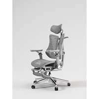 Chaise de bureau ergonomique en maille SAIGU 1066 avec support ergonomique double dossier pour les acheteurs thaïlandais