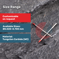 Nouveaux composants en carbure de tungstène à pointe plate de haute précision, légers, monocomposants, pour machine de collage de semi-conducteurs, gamme Leader