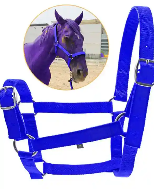 สีน้ำเงินเข้ม