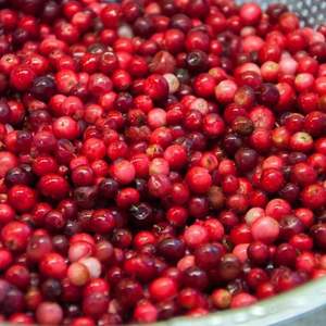 Cranberries Frais de Haute Qualité 950kg Vente en Gros Approvisionnement Premium Maturité 80-95% Grade 10-20mm - Product Image 3