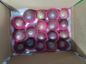 Pomme étoilée violette fraîche du Vietnam, qualité supérieure, fruit tropical sucré, fournisseur, meilleur prix pour l'exportation - Product Image 5