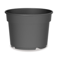Pots de pépinière en plastique recyclé CB de haute qualité de 1,3 litres ronds de diverses couleurs PP matériel pour l'utilisation de plantes