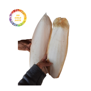 Fábrica de Vietnam hueso de calamar súper barato para proveedores de mascotas al por mayor - Product Image 1