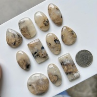 InfinityStones Agate Dendritique Tigre Marron Naturelle Cabochon Formes Mixtes Taille Libre 3-6mm Fournitures Premium pour la Fabrication de Bijoux Rajasthan