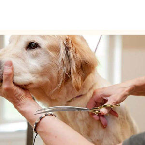 Ciseaux courbés de toilettage pour animaux de compagnie, professionnels, en acier inoxydable, portables, de luxe, multifonctionnels, pour couper les cheveux - Product Image 5