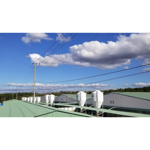 Silo de alimentación para cerdos de 7,5 toneladas de acero personalizable y galvanizado para productores de cerdos de Vietnam - Product Image 2