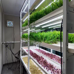 Système de culture hydroponique vertical multi-niveaux pour fourrage, plateau de germination, support de culture d'orge à vendre - Product Image 6