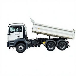 Camión Pesado MAN TGS 33.420 6x4 Euro 5 2021, Motor Diésel, Cámara Trasera, Dirección Izquierda 360, Capacidad 31-40T, Automático 30t - Product Image 1