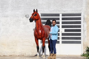 Sculpture de cheval en course grandeur nature en fibre de verre de luxe pour l'extérieur, statue de jardin pour la décoration de la villa, de la pelouse et du paysage - Product Image 2