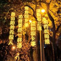 Lettres néon LED suspendues de qualité supérieure, guirlande lumineuse extérieure personnalisée, bannière décorative, enseigne poétique pour l'atmosphère du jardin et des arbres