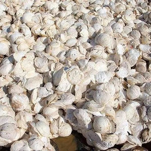 Premium Cup Lump Caucho natural Origen de Vietnam Proveedor confiable en todo el mundo - Product Image 1