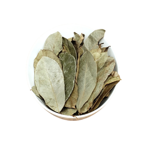 Vente chaude 2024! Feuilles de corossol séchées Échantillon gratuit Graviola pour un thé sain - Product Image 4