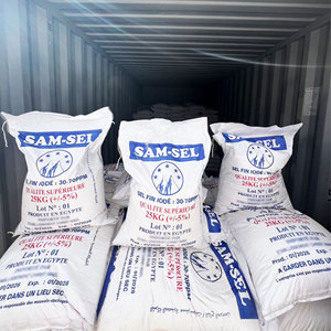 Sal de Mesa Fina Egipcia en Polvo |   Bolsa de Polietileno de 25 kg |   Yodado Refinado |   100% de Grado Alimenticio |   Certificado HACCP |   99.8% de Pureza |   Premium - Product Image 3