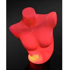2022新设计电脑照明文胸发光二极管透明聚碳酸酯塑料女性半身躯干