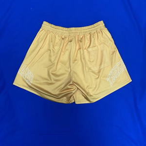 Personalizado hecho famosa marca bordado corto logo gimnasio malla gruesa potencia elevación sublimación 5 pulgadas entrepierna pantalones cortos - Product Image 1