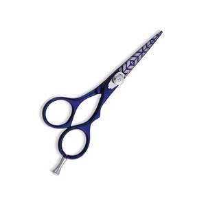 Tijeras para el pelo con revestimiento de titanio, tijeras para el cabello con revestimiento de titanio, de acero inoxidable, para peluquero, arcoíris, 440C - Product Image 1