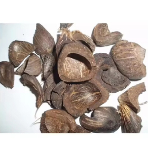 Mejor precio y entrega rápida de cáscara de almendra de palma seca para residuos agrícolas Pellet de madera de coco al por mayor - Product Image 5