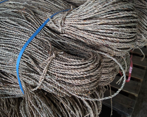 Corde de jonc de haute qualité pour l'exportation et la fabrication de produits faits à la main - Product Image 3