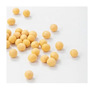 Graines de soja fraîches à vendre, qualité supérieure, disponibles en gros et en détail, distribution mondiale - Product Image 6