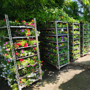 รถเข็นสำหรับใส่พืชแบบเดนมาร์กรถเข็นสำหรับใส่พืชเรือนกระจกสำหรับขนส่งแบบดัตช์ - Product Image 5