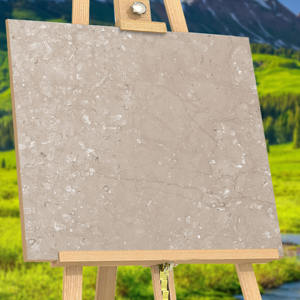 Collection Premium de Carreaux de Sol Intérieurs au Design Moderne Stock Régulier pour la Maison Salle de Bain Fabriqué en Inde. - Product Image 1