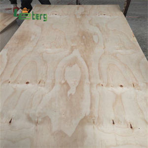 Revêtement mural, contreplaqué en pin CDX pour la construction - Product Image 1