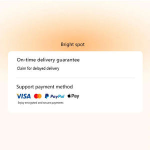 Sweatshirt à capuche avec impression de flammes et soleil pour hommes, sweatshirt à capuche surdimensionné et lourd en molleton de coton pour hommes - Product Image 3