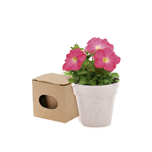 บ้านกระถางดอกไม้และของขวัญตกแต่งบ้านและพรีเมี่ยมบทความที่ยั่งยืน M729966-134 - Product Image 1