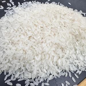 Camolino/Calrose/Arroz egipcio/de grano medio del principal proveedor de Vietnam con infusión de aceite Riz Arroz Riso / ANNA DO VILACONIC - Product Image 5