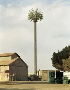برج شبكة من عمود شجرة النخيل لتوصيل الاتصالات 20 م 30 م 40 م 50 م من شركة التصنيع للاتصالات الاصطناعية