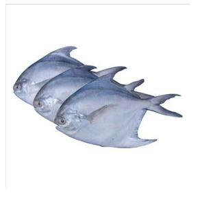 Good quality cheap price Frozen white Pomfret <b>fish</b> - Product Image 4