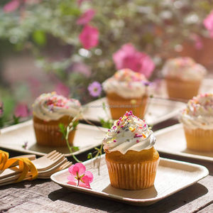 Assiettes carrées écologiques de 8 pouces, compostables, biodégradables, résistantes, jetables, pour la restauration rapide, en vrac, pour les restaurants, 2026 - Product Image 2