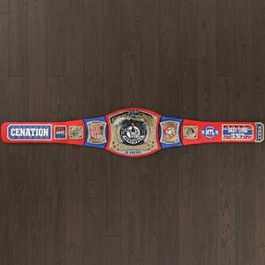 Ceinture de champion de qualité supérieure, meilleur fournisseur de ceintures de champion, ceinture de champion à la vente chaude, ceinture de champion pour adultes - Product Image 2