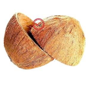 Cuencos Ovalados de Cáscara de Coco Cruda |   Tazón de Comedor Hecho a Mano Natural |   Vajilla Sostenible al por Mayor - Product Image 1