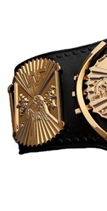 ¡Cinturones de campeonato personalizados! CINTURÓN DE BARCO CAMPEÓN DE LUCHA MUNDIAL - Product Image 3