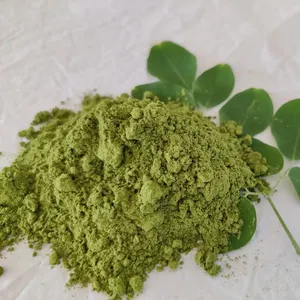 Bio-Baum Moringa Pulver natürliches Bio Moringa Blatt pulver reich an Vitaminen und Mineralien als Kräuter ergänzung