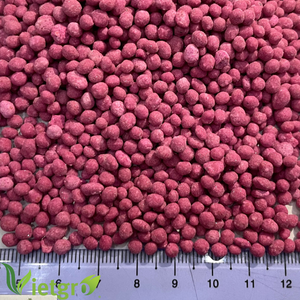 Engrais granulaire soluble de haute qualité Vietgro NPK 16-16-16 Amino 100% pureté, libération contrôlée, rendement élevé - Product Image 5