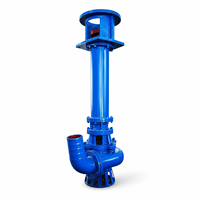 Pompe à boue submersible verticale IP68, robuste, haute pression, résistante à l'usure, pour le désassainissement des rivières, les centrales électriques et les réservoirs de cendres, OEM