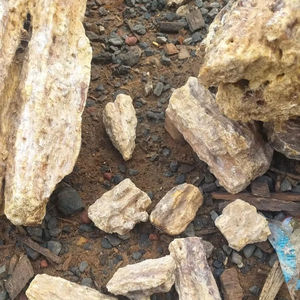 Damar Batu de qualité supérieure fabriqué au Vietnam de haute qualité - Product Image 6