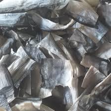 Premium Fish Skim Para Masticar Mascota - Product Image 5