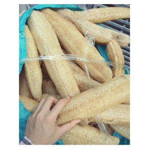 Éponge de nettoyage Luffa Luffa tout usage pour la douche, lave-vaisselle et plus légère avec surface lisse - Product Image 3