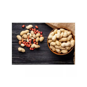 Arachides de qualité supérieure, vente en gros, livraison rapide, qualité supérieure - Product Image 3