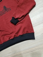 Sweat-shirts à capuche slim fit 100 % polaire pour homme et femme, conçus sur mesure (ODM/COS), doublure écossaise écologique, 300/320 GSM coton