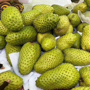 BEBIDA DE ZUMO CONGELADO NATURAL AL PRECIO BARATO - Product Image 1