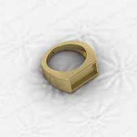 Massiver 14k Gold Roségold Plattierter Fassungsring für Damen – Ehering, Jubiläumsring, Ewigkeitsring, Siegelring, Party-Schmuck, Erinnerungsstück, verschiedene Größen