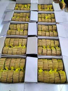 Alta calidad Dar Seenee/ Tvak/ Cassia Vera de Vietnam-Competitivo y confiable - Product Image 6