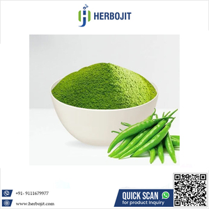 เฮอร์โบจิต อินเตอร์เนชั่นแนล ผงพริกเขียวอบแห้งแบบสเปรย์ 100% จากธรรมชาติ คุณภาพเยี่ยม ผู้จัดจำหน่ายจากอินเดีย วัตถุเจือปนอาหารที่เป็นที่ต้องการสูง 12 - Product Image 6