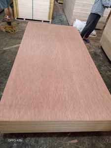 ไม้อัดยูคาลิปตัสสองหน้าคุณภาพสูง Fomex Greenwood Bintangor หนา 18 มม. มาตรฐาน E1 สำหรับใช้งานภายในอาคารสำนักงาน - Product Image 2