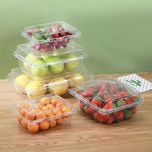 Envases de Plástico PET Transparente para Fresas, Tomates, Verduras y Frutas, Cajas de Plástico Desechables Tipo Concha para Fresas - Product Image 2